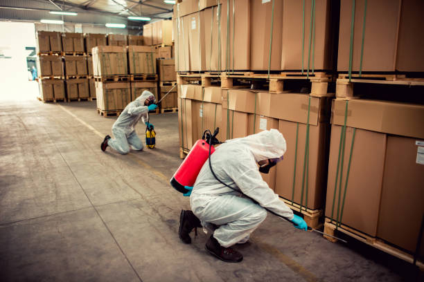 Best Best Pest Control Companies  in Plainfield, NJ