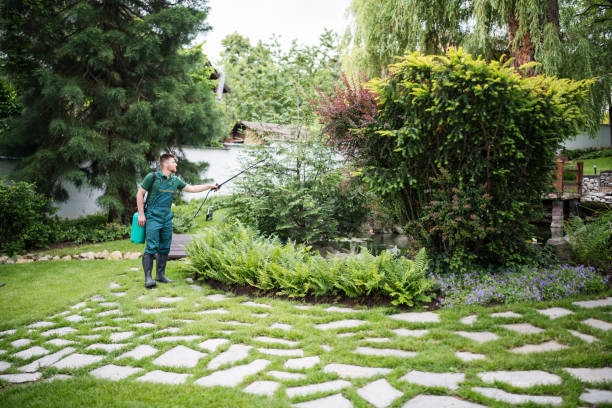 Wasp Removal Services in Plainfield, NJ