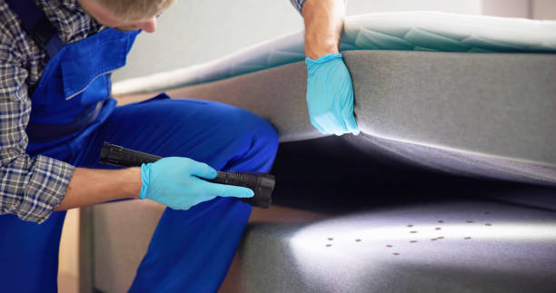 Best Pest Inspection Near Me  in Plainfield, NJ