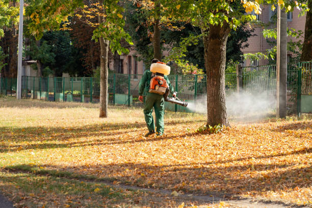 Best Rat Extermination Near Me  in Plainfield, NJ