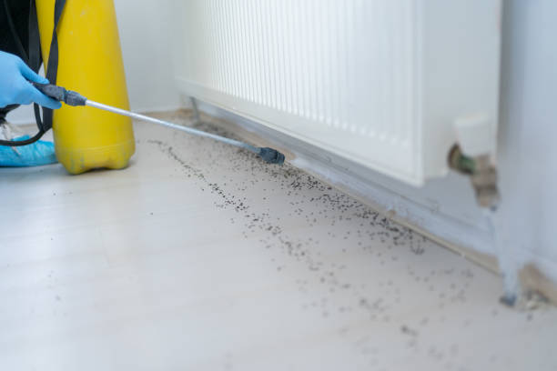 Best Cockroach Control Services  in Plainfield, NJ