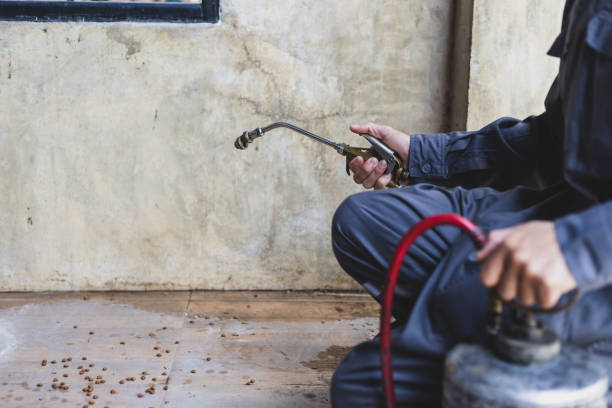 Best Pest Control for Homes  in Plainfield, NJ